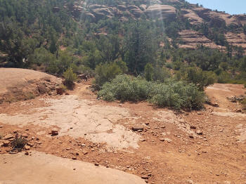 Little Horse Trail Picture 6