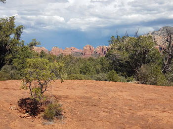 Little Horse Trail Picture 7