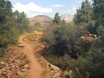 Mystic Trail Picture 12
