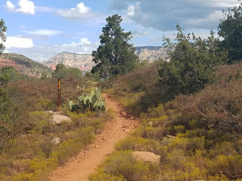 Mystic Trail Picture 14