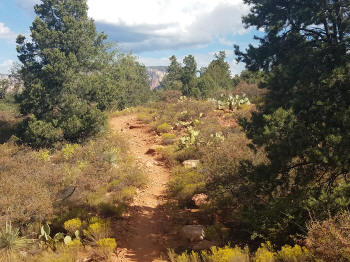 Mystic Trail Picture 16