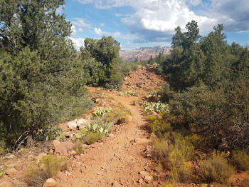 Mystic Trail Picture 17