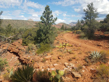 Mystic Trail Picture 18