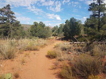 Mystic Trail Pict 5