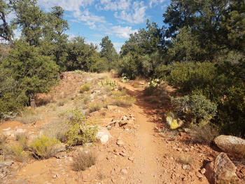 Mystic Trail Picture 7