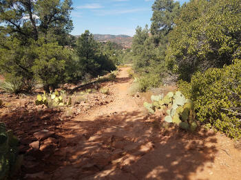 Mystic Trail Picture 8