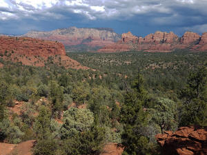 View to the Northeast High on the Hog Trail