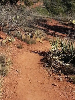 Start of Chuck Wagon Trail