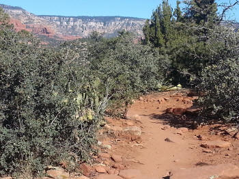 Chuck Wagon Trail 7
