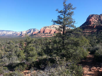 Chuck Wagon Trail 10