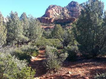 Chuck Wagon Trail