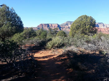 Chuck Wagon Trail 12