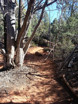 Second Half Chuck Wagon Trail
