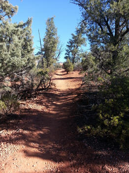 Chuck Wagon Trail 21