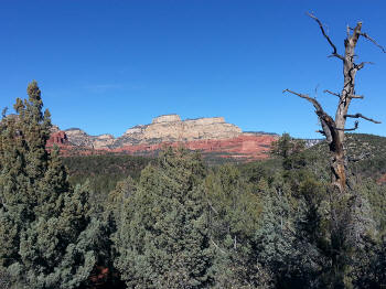Chuck Wagon Trail 24