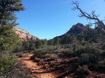 Chuck Wagon Trail 25
