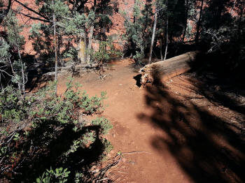 Chuck Wagon Trail 26