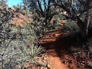 Chuck Wagon Trail 30