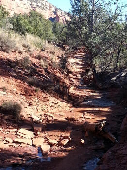 Chuck Wagon Trail 31