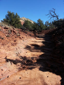 Chuck Wagon Trail 32