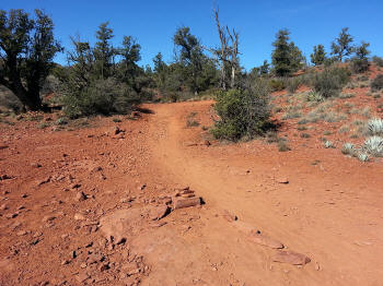Chuck Wagon Trail 35