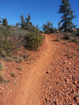 Chuck Wagon Trail 36