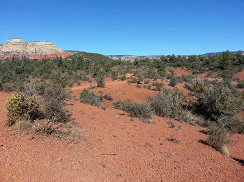 Chuch Wagon Trail 37