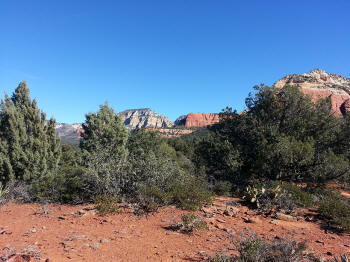 Chuck Wagon Trail 39