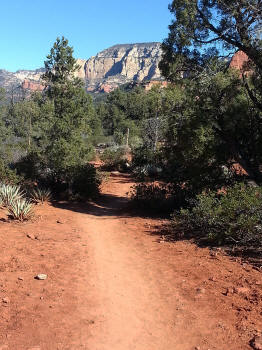 Chuck Wagon Trail 40
