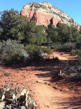 Chuck Wagon Trail 41