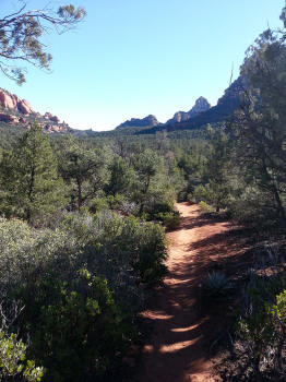 Chuck Wagon Trail 42