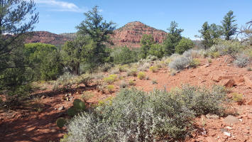 Hicking Up to the ridge on Ridge Trail