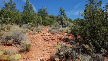 Ridge Trail - Hiding Up The Ridge