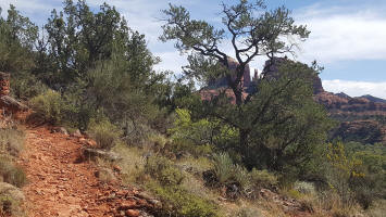 Cathedral Rock