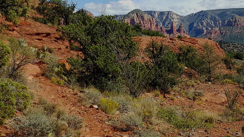 The beginning of the ascent to the top of Ridge Trail