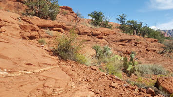 Ascent to the top of Ridge Trail