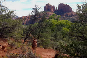 The Ridge Trail - Picture 7