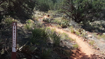 Ridge Trail - Picture 2010