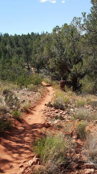 Ridge Trail - Picture 2020