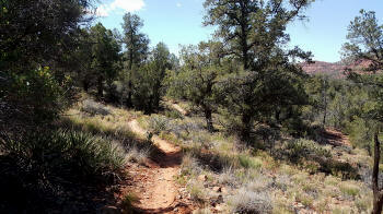 Ridge Trail - Picture 2030