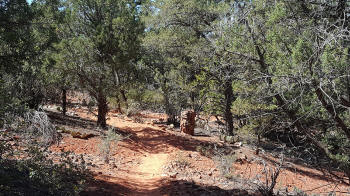 Ridge Trail - Picture 2050