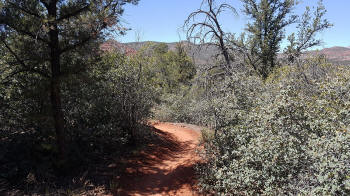Ridge Trail - Picture 2060