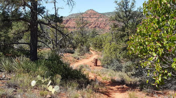 Ridge Trail - Picture 2070
