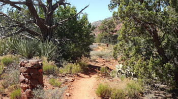 Ridge Trail - Picture 2090