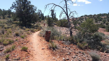 Ridge Trail - Picture 2120