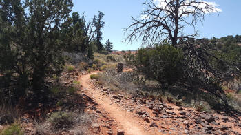 Ridge Trail - Picture 2130