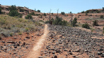 Ridge Trail - Picture 2130