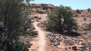 Ridge Trail - Picture 2140