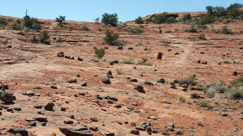 Ridge Trail - Picture 2160