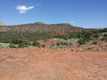 Ridge Trail - Picture 2160